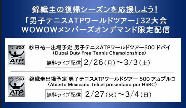 19年もテニス 錦織圭 見るならwowowだけで完璧になった件