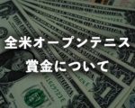 全米オープンテニスの賞金はいくら？｜2025年の総額、優勝賞金、日本円内訳と過去推移（車いすも）
