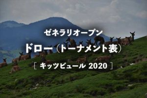 全仏オープン放送予定 地上波テレビ放送とネット中継 ライブ配信 の日程 無料視聴方法 錦織圭 大坂なおみ