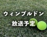 【2024 ウィンブルドン】NHK地上波テレビ放送予定・WOWOW中継(ネット配信)、見逃し再放送｜全英オープンテニス