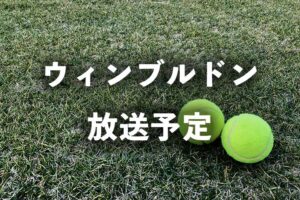 ウィンブルドン放送予定 地上波テレビ放送 Nhk とネット中継 Wowow Nhkライブ配信 の