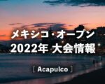 【西岡良仁vsフリッツ】2022年アカプルコ2回戦の放送予定(テレビ放送/ネット中継)、結果速報＆男子ドロー